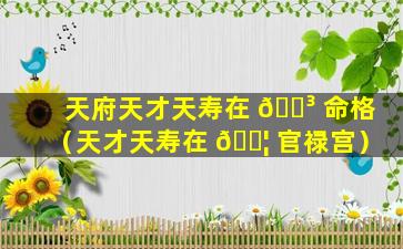 天府天才天寿在 🐳 命格（天才天寿在 🐦 官禄宫）